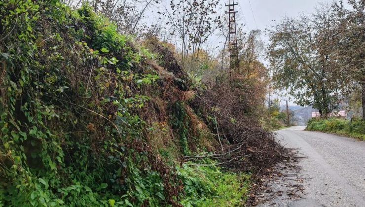 BAHÇE PİSLİKLERİNİ YOL KENARLARINA ATANLARA CEZA YAZILACAK